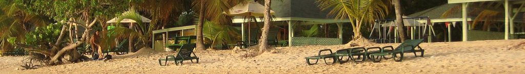 插图Trinidad and Tobago）公司资质证书 1024x146.jpg