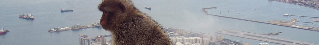 插图直布罗陀（Gibraltar）公司资质证书 1024x146.jpg
