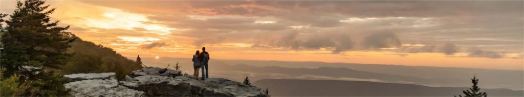 插图West Virginia）公司资质证书1 1024x191.jpg