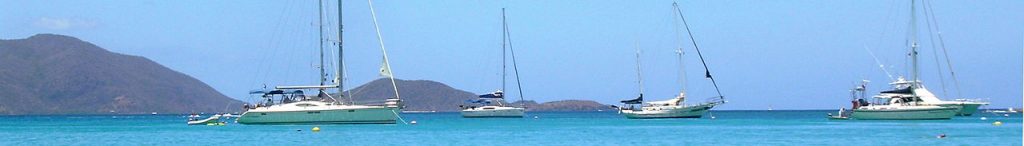 插图British Virgin Islands，BVI）公司证书 1024x146.jpg
